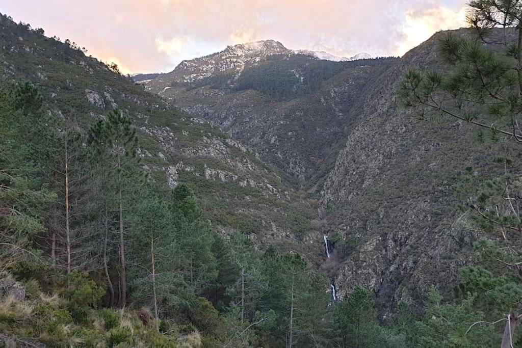 Cantinho Dos Montes Διαμέρισμα Vila Real Εξωτερικό φωτογραφία
